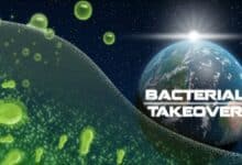 Bacterial Takeover Codes