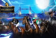 Stallion Race Codes