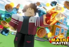 Magnet Masters Codes