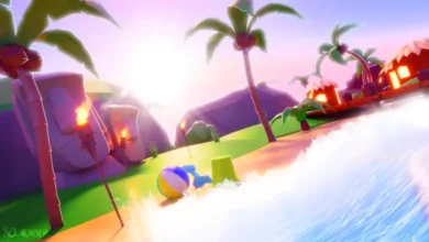 TTD 3 Codes
