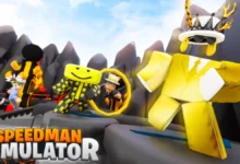 Speedman Simulator Codes