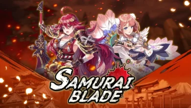 Cat & Knights Codes