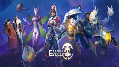 Eternal Evolution Codes