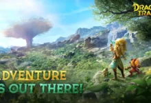 Dragon Trail Codes