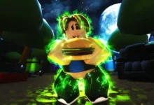 Fat Simulator Codes