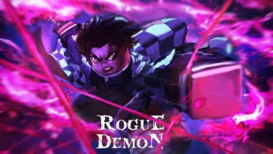 Rogue Demon Codes
