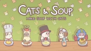 Cats and Soup Codes
