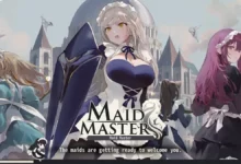 Maid Master Codes