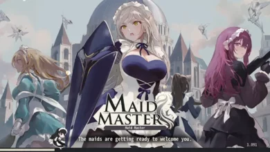 Maid Master Codes