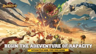 Rapacity Codes