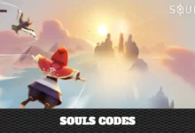 SOULS Codes