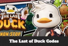 The Last of Duck Codes