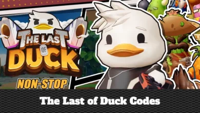 The Last of Duck Codes