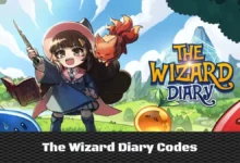 The Wizard Diary Codes