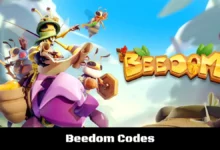 Beedom Codes
