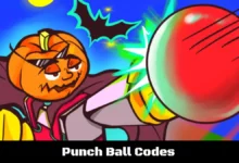 Punch Ball Codes
