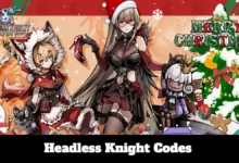Headless Knight Codes