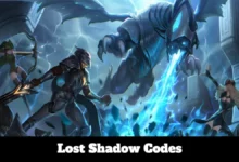 Lost Shadow Codes