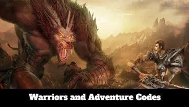 Warriors and Adventure Codes