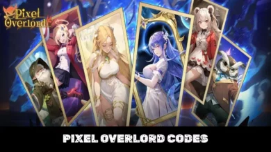 Pixel Overlord Codes