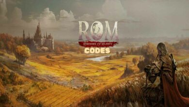 ROM Remember Of Majesty Codes