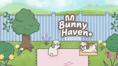 Bunny Haven Codes