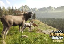 Hunting Sniper Codes