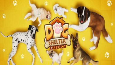 Dog Shelter Codes