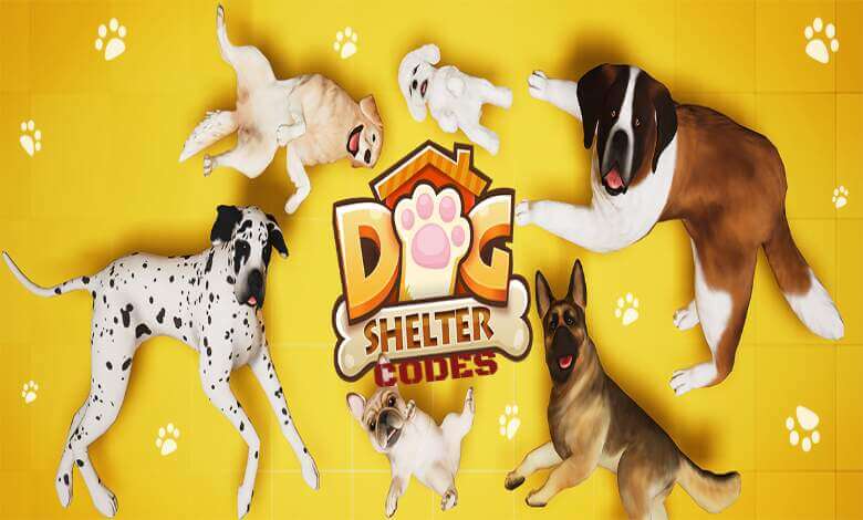 Dog Shelter Codes