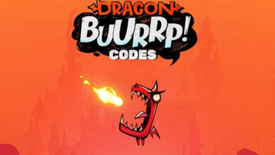 Dragon BUURRP Coupon Codes