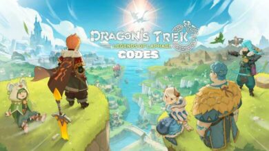 Dragon's Trek Codes