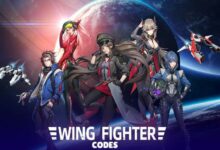 Wing Fighter Codes