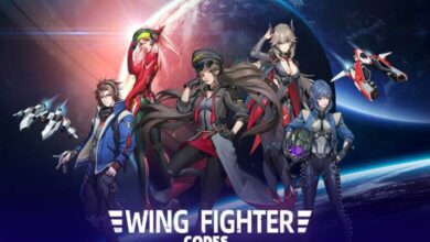 Wing Fighter Codes