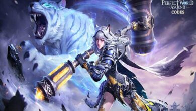 Perfect World Ascend Codes
