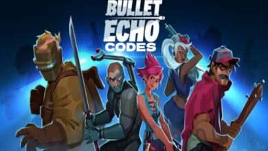 Bullet Echo Codes