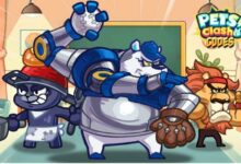Petpet Go Codes
