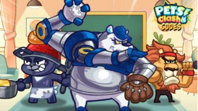 Petpet Go Codes
