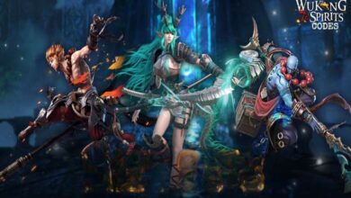 WuKong 72 Spirits Codes