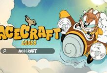 Acecraft Codes
