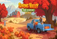 Spring Valley Codes