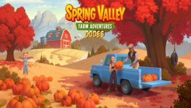 Spring Valley Codes