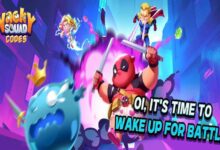 Wacky Squad Codes