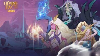 Divine Pact Codes
