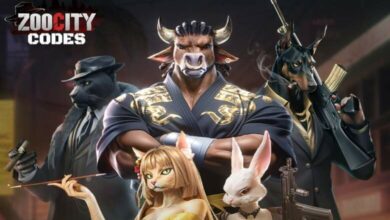 Zoo City Codes