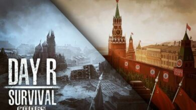 Day R Survival Codes