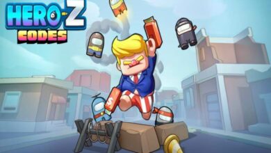 Hero Z Codes