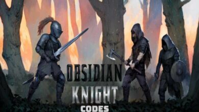 Obsidian Knight Codes