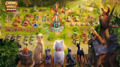 CatDog World Codes