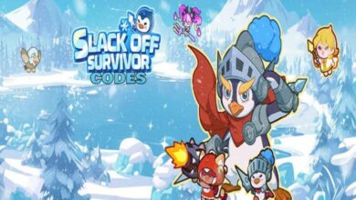 Slack Off Survivor Codes