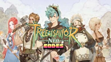 Tree of Savior NEO Codes